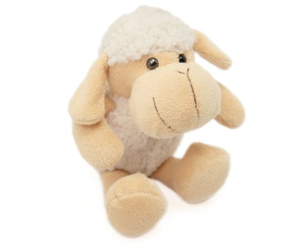 Shaun - Image 3