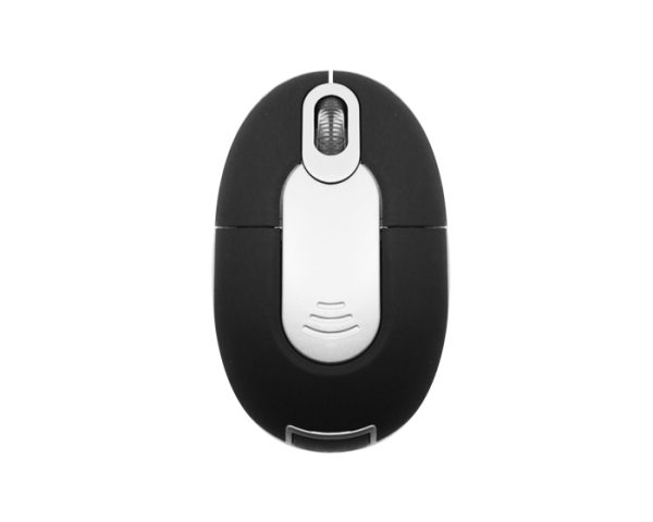 Souris - Image 2